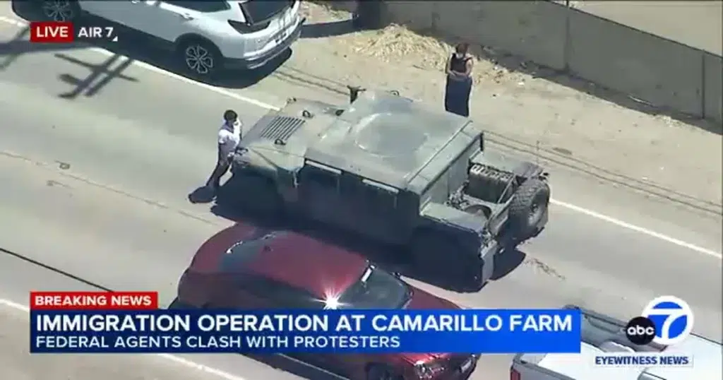 Camarillo Protests